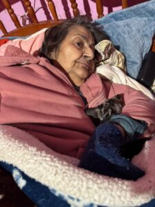 Imagem do WhatsApp de 2025-08-11 à(s) 16.45.33_cbdd8df2